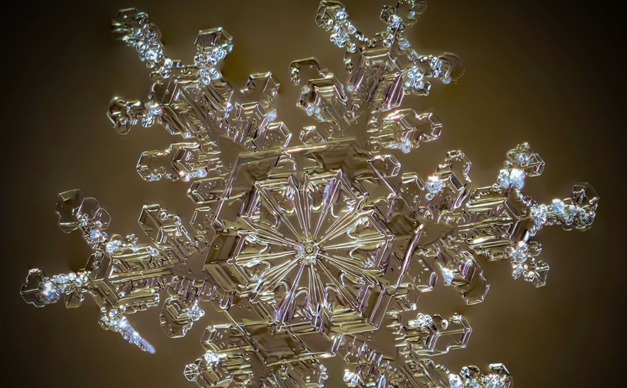Our Conversation With A Real Snowflake Photographer